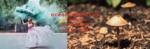 2c-b Белокуриха