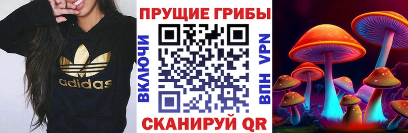 Галлюциногенные грибы GOLDEN TEACHER Белгород