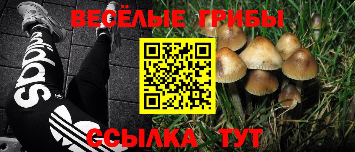 Галлюциногенные грибы MAGIC MUSHROOMS  купить наркотик  Белгород 