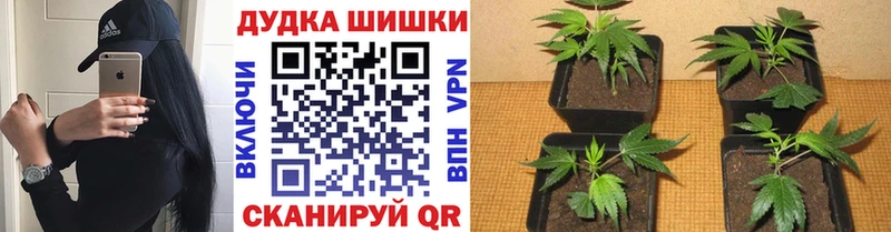 Канабис VHQ  Белгород 